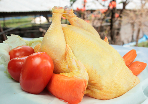 Productos Pollo Campeón
